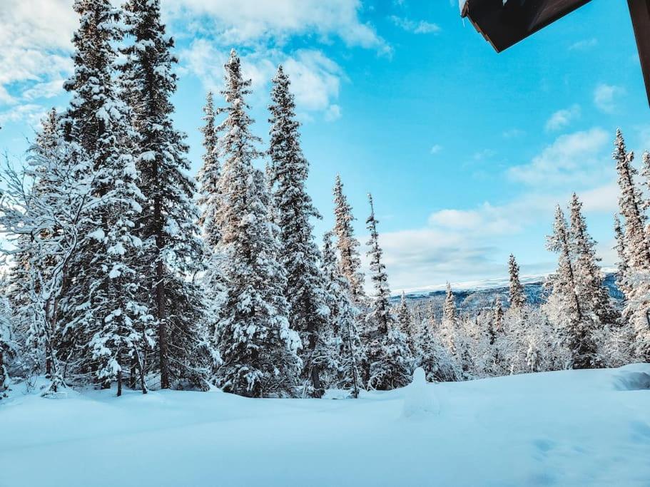 Peaceful Oasis. Panoramic Forest- & Mountain View. Sauna. Beitostolen ภายนอก รูปภาพ